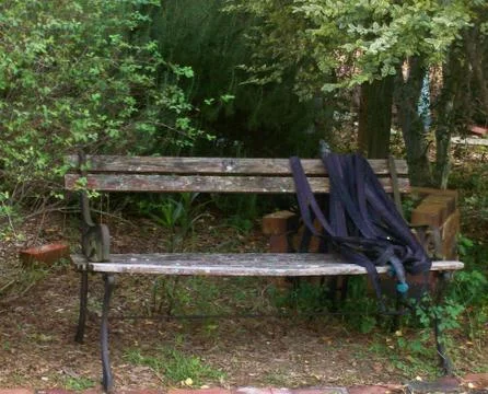 BENCH WITH HOSE TAKING A REST ON A COOL FALL DAY IN THE EAST Fotos Stock