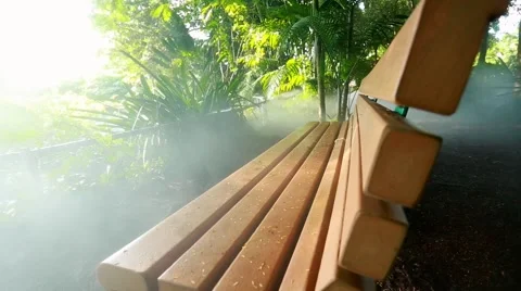 Bench in a jungle with beautiful light and smoke Stock Footage 56223127
