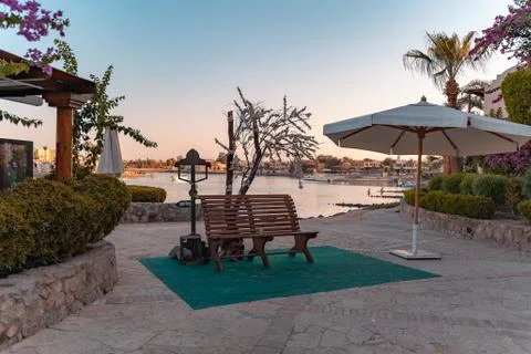A bench at lagoon El Gouna, egypt with a tree with flowers a umbrella at suns Stock Photos