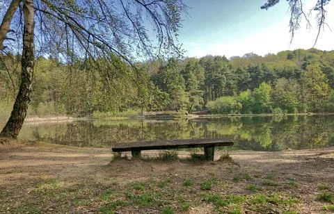Bench on a lake by a forest Stock Photos