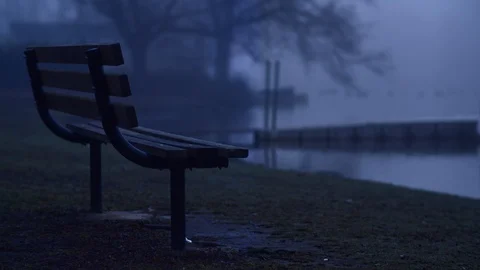 Bench on Lake at Night Stock Footage 128227866