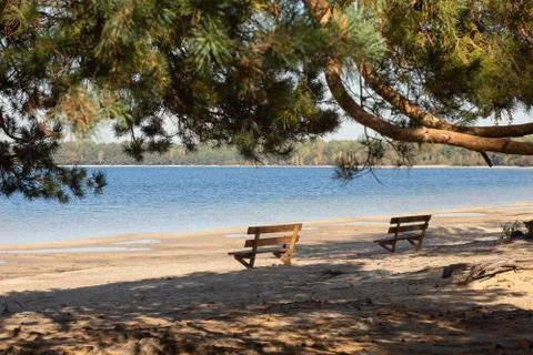 Bench on the lakeshore. Stock Photos
