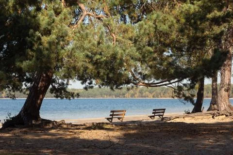 Bench on the lakeshore. Stock Photos