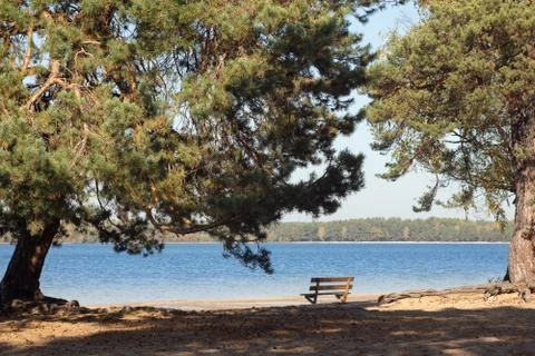 Bench on the lakeshore. Stock Photos