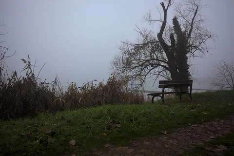 Bench by the lakeshore Stock Photos