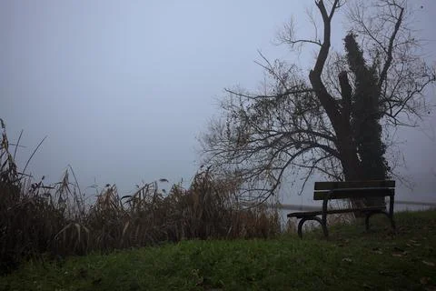 Bench by the lakeshore Stock Photos