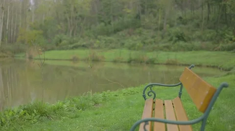 Bench on the lakeside Stock Footage 54194191
