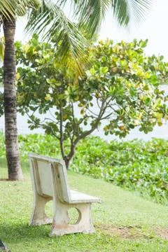 Bench on the lawn Stock Photos