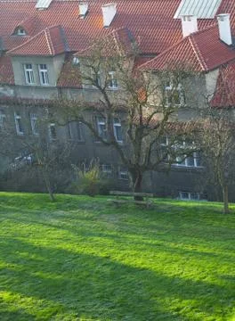 Bench on the lawn by a tree Stock Photos