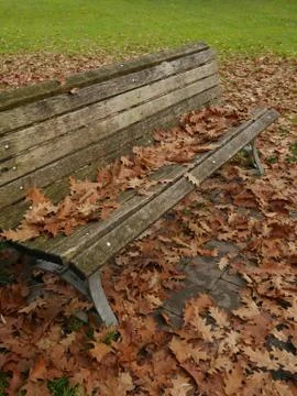 Bench with leafes in autumn Stock Photos