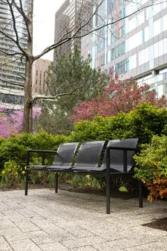 Bench located in a park surrounded by plants and tall buildings during dayt.. Stock Photos