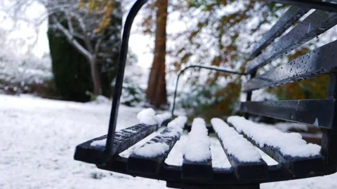 Bench in lonely empty park after winter snowfall Stock Footage 166113687