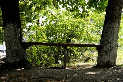A bench made between two trees Stock Photos
