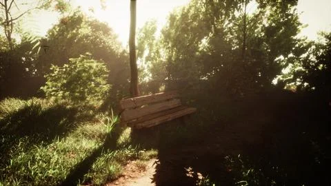 Bench made of logs on background of clearings and deciduous forest Stock Illustration