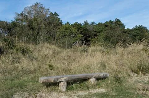 Bench made from trees in the forest Stock Photos