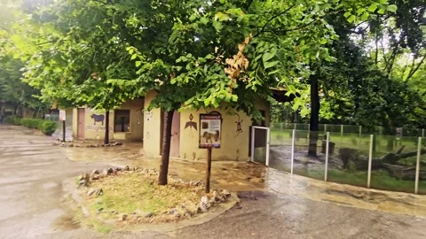 A bench in the middle. Stock Footage 284672744