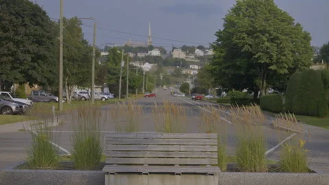Bench in the middle of a residential street Stock Footage 211879088
