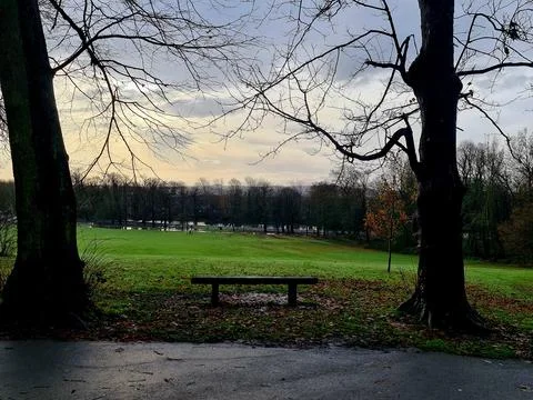 A bench in the middle of two trees, looking out onto a field in autumn Photos