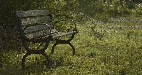 Bench in morning light with spring flowers Stock-Footage 129606730