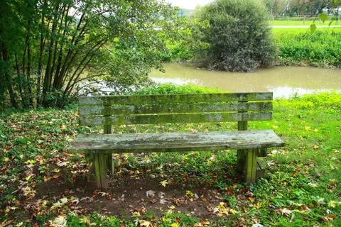 Bench with moss in old park Stock Photos