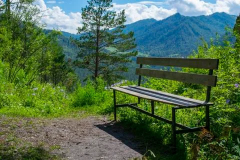 Bench on a mountain in the woods Stock Photos