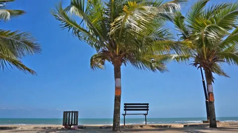 Bench near the beach with coconut tree and wind Stock Footage 36442499