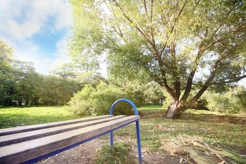 Bench near the tree Stock Photos