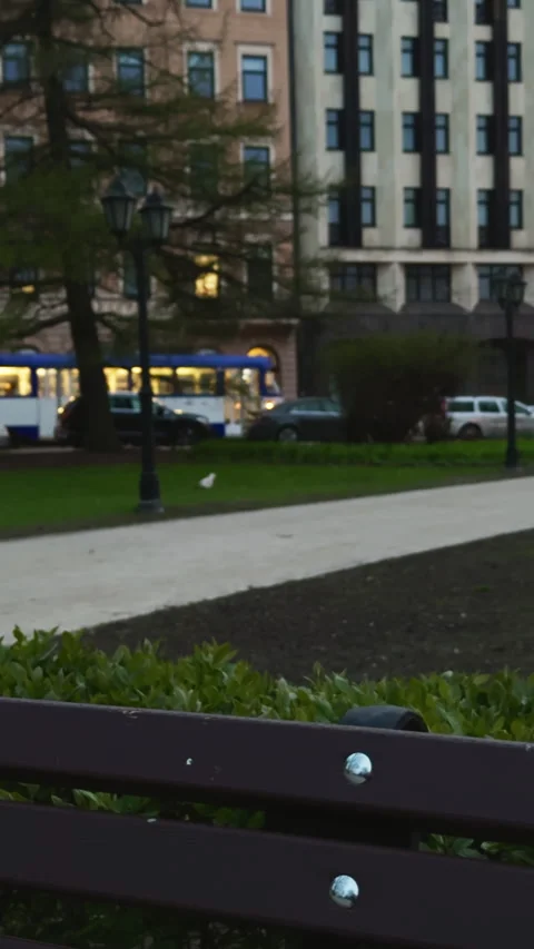 A bench near trees, with a building in the background Vídeos de archivo 272448316
