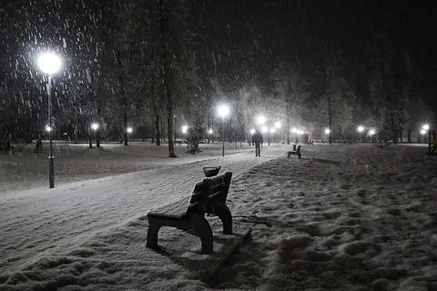 A bench in an old park during a snowfall against the backdrop of a male sil.. Stock Photos