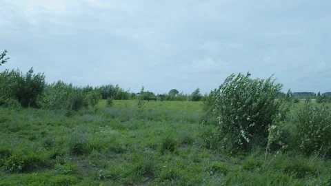 Bench In An Open Field Of Grass Video stock 247142723