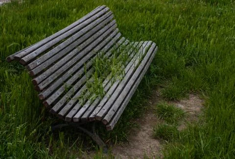 Bench overcome by grass Stock Photos