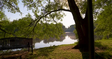 Bench overlooking a scenic river on an early summer morning Stock Footage 133755647