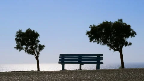 A bench overlooking the sea between two trees. Stock Footage 240341274