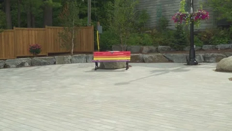 Bench painted in pride colors Stock Footage 213308845