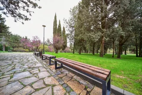 Bench in the park after rain Stock Photos