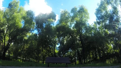 Bench in a park among trees timelapse Stock Footage 78017354