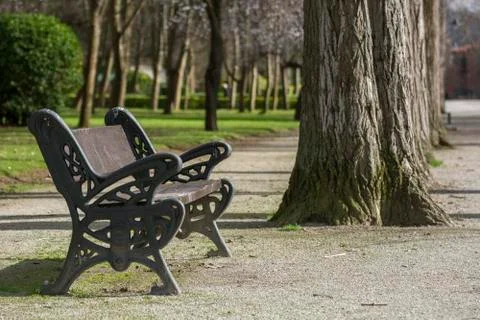 Bench in a park and tree Stock Photos