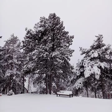 Bench, park and trees covered with snow. Wonderful winter landscape Stock Photos