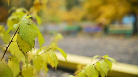Bench in The Park in Autumn 库存影片 58077729