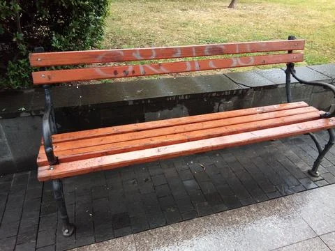 Bench in the park - Baia Mare 写真素材
