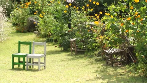 Bench in the park, bench in the garden Vídeo Stock 310345363
