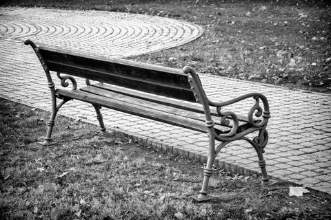 Bench in the park in black and white with autumn leaves. Stock Photos