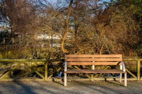 Bench in a park with branches Stock Photos