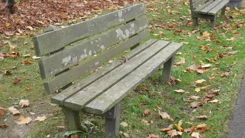 Bench in a park during fall Vídeo Stock 141765348