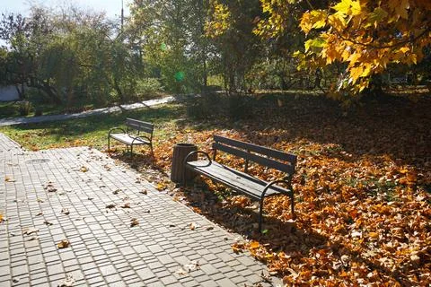 A bench in the park in the fall, fallen leaves, a sunny day. Stock Photos
