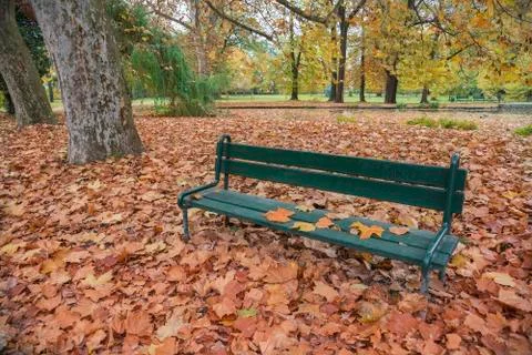 Bench in the park in fall with lot of red faliage Stock Photos