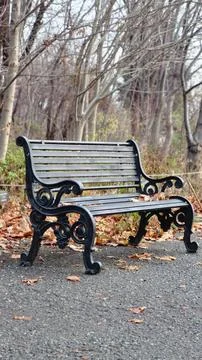 Bench in the park with fallen leaves on the ground and trees in the background Foto stock