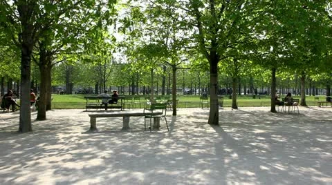 Bench in the park Stock Footage