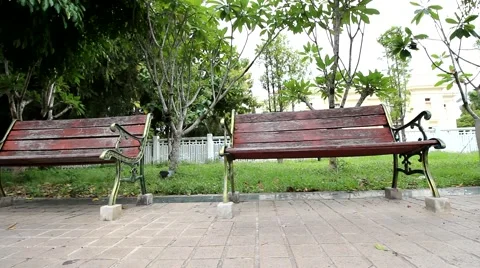 Bench In Park Stock Footage 41804398