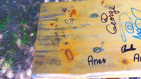 Bench in the park Stock-Footage 71764265